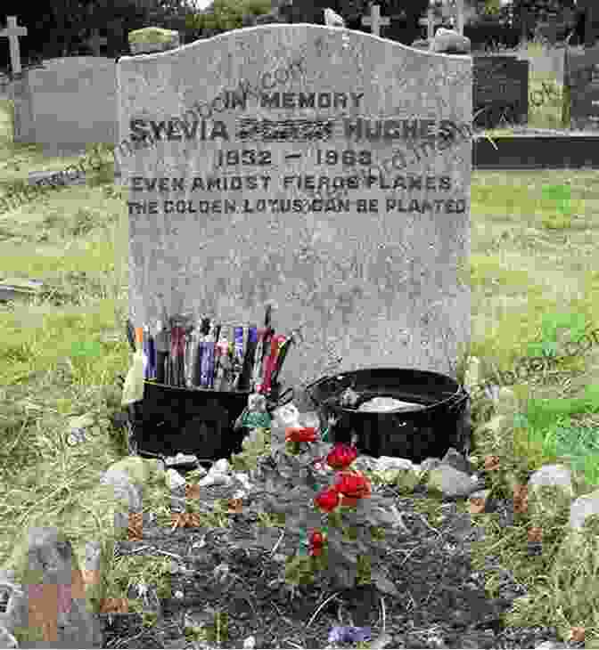 A Photograph Of Sylvia Plath's Grave Stealing Sugar From The Castle: Selected And New Poems 1950 2024: Selected And New Poems 1950 2024