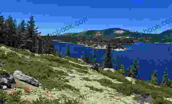 Elevation Profile Of Loon Lake Mountain Loon Lake Mountain Hiking Guide