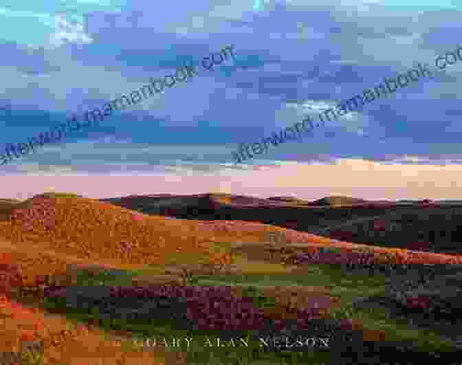 Expansive View Of The Nebraska Sandhills, Rolling Hills Dotted With Sparse Vegetation Nebraska: Poems Sundari Venkatraman
