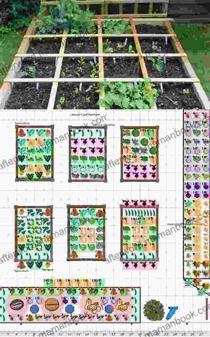 Image Of A Meticulously Planned Vegetable Garden Layout Featuring Raised Beds And Organized Planting Rows Vegetable Gardening For Beginners Jason Wallace