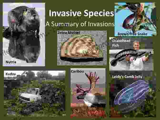 Invasive Plants And Animals Invading Minnesota's Ecosystems Field Guide To Invasive Species Of Minnesota: Poems