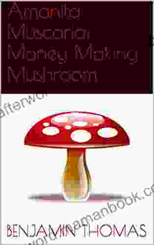 Amanita Muscaria: Money Making Mushroom